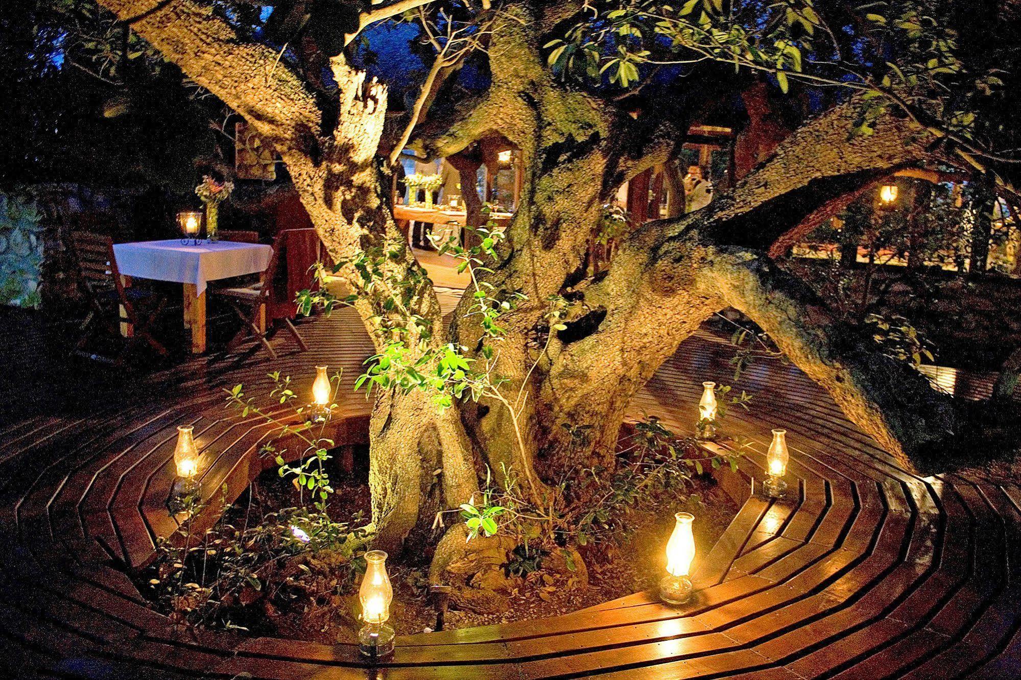 Mosaic Lagoon Lodge Stanford Dış mekan fotoğraf